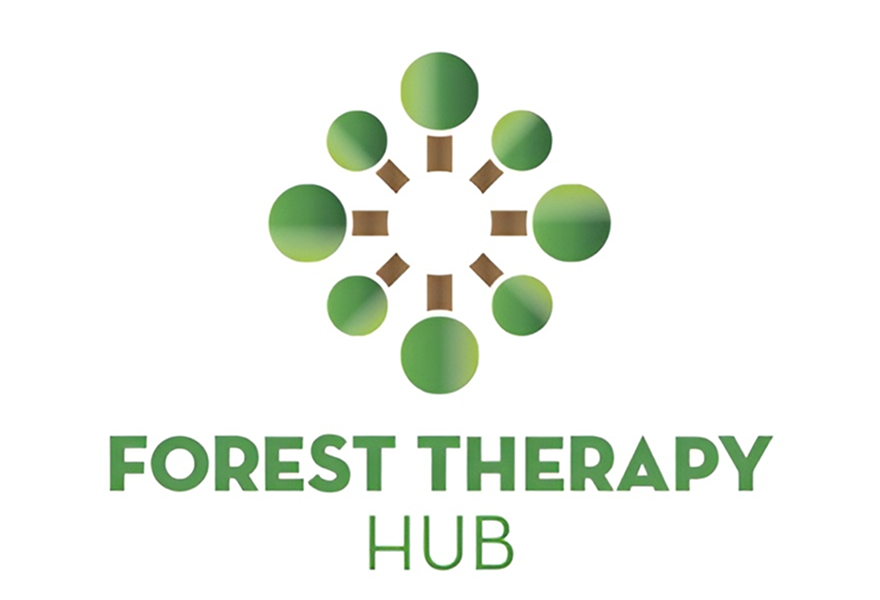 Forest Therapy Hub